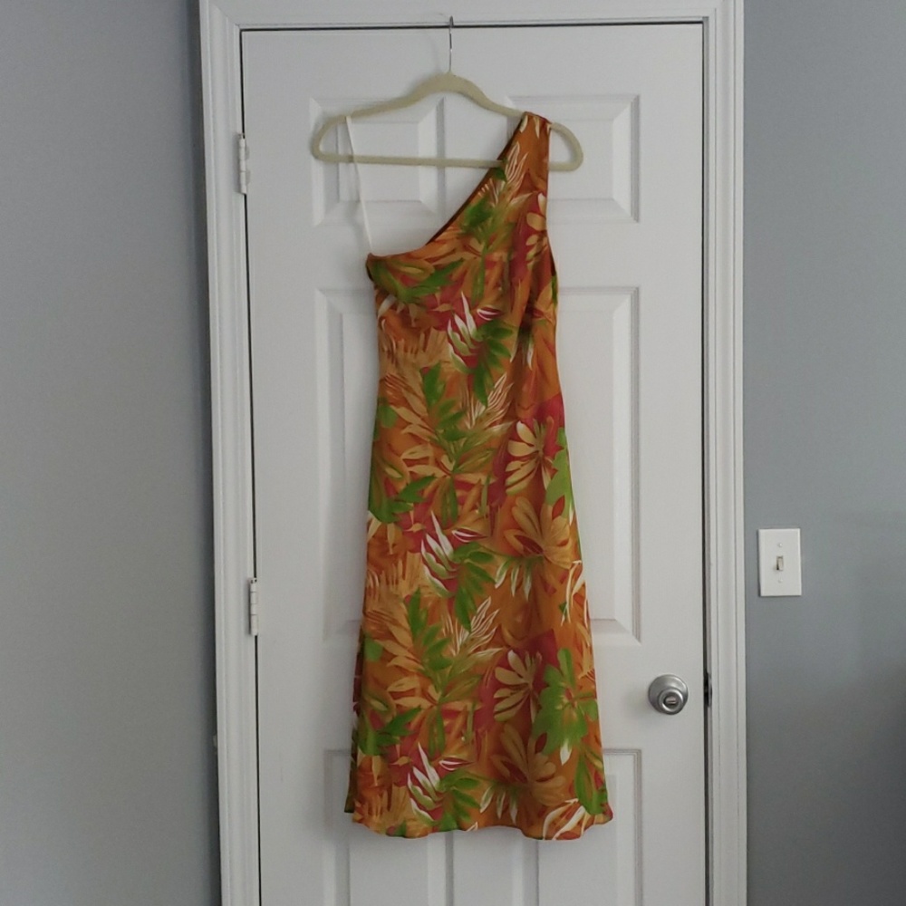 Beautiful Borcellini dress